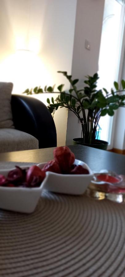 Beautifull Apartment Nis Ngoại thất bức ảnh